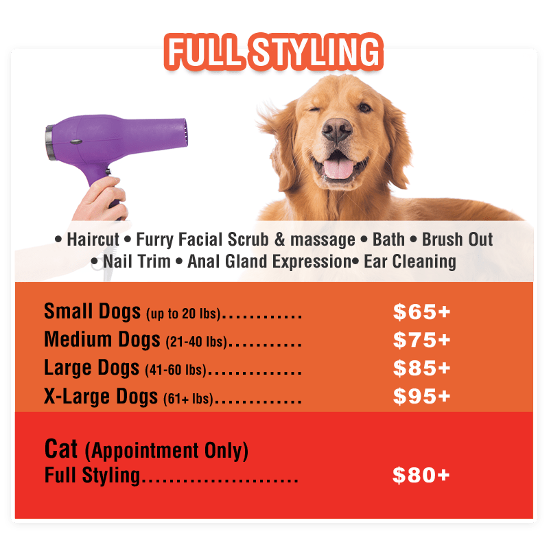 Pet Grooming Chicago South Loop Sydnee's Pet Grooming Franchise