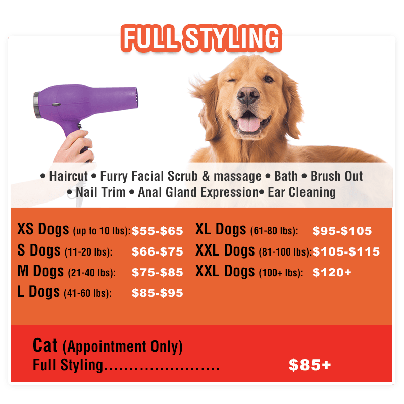 Pet Grooming Huntington Beach Sydnee's Pet Grooming