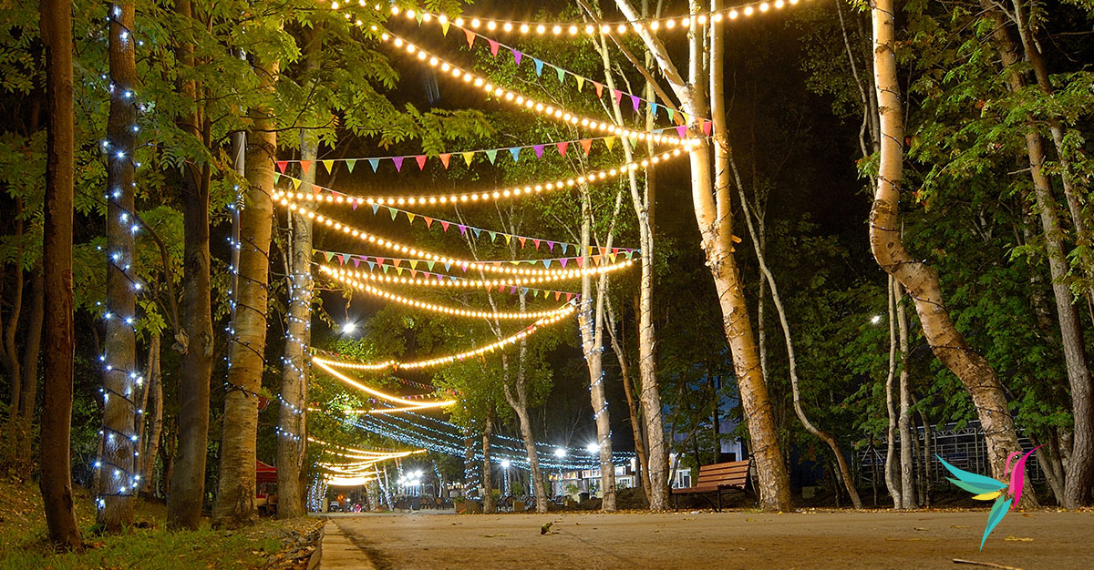 Festoon Lighting for Hire in Sydney Sydney Event Services