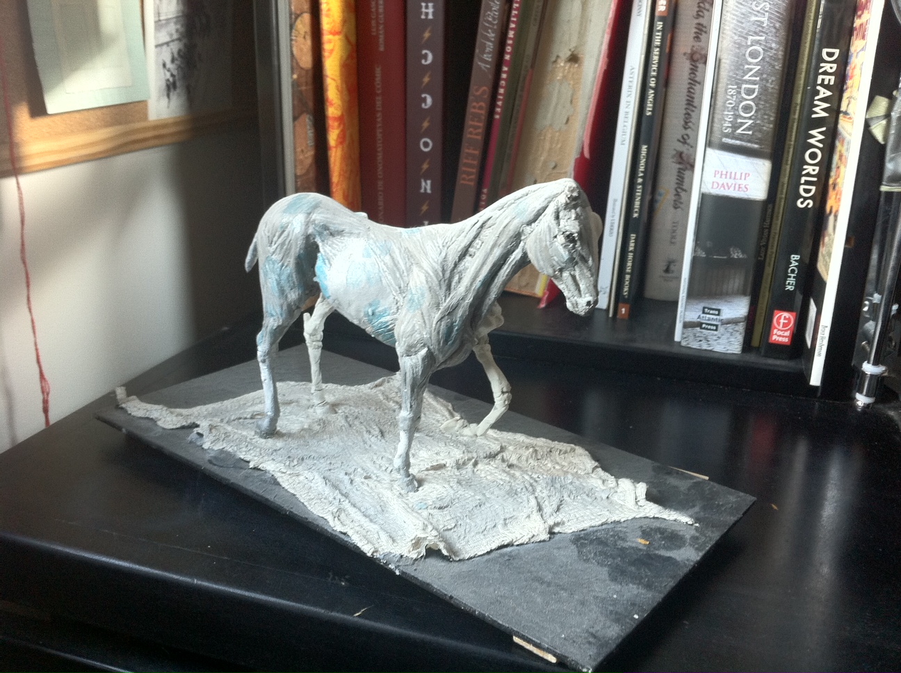 Some Notes on Comparative Anatomy