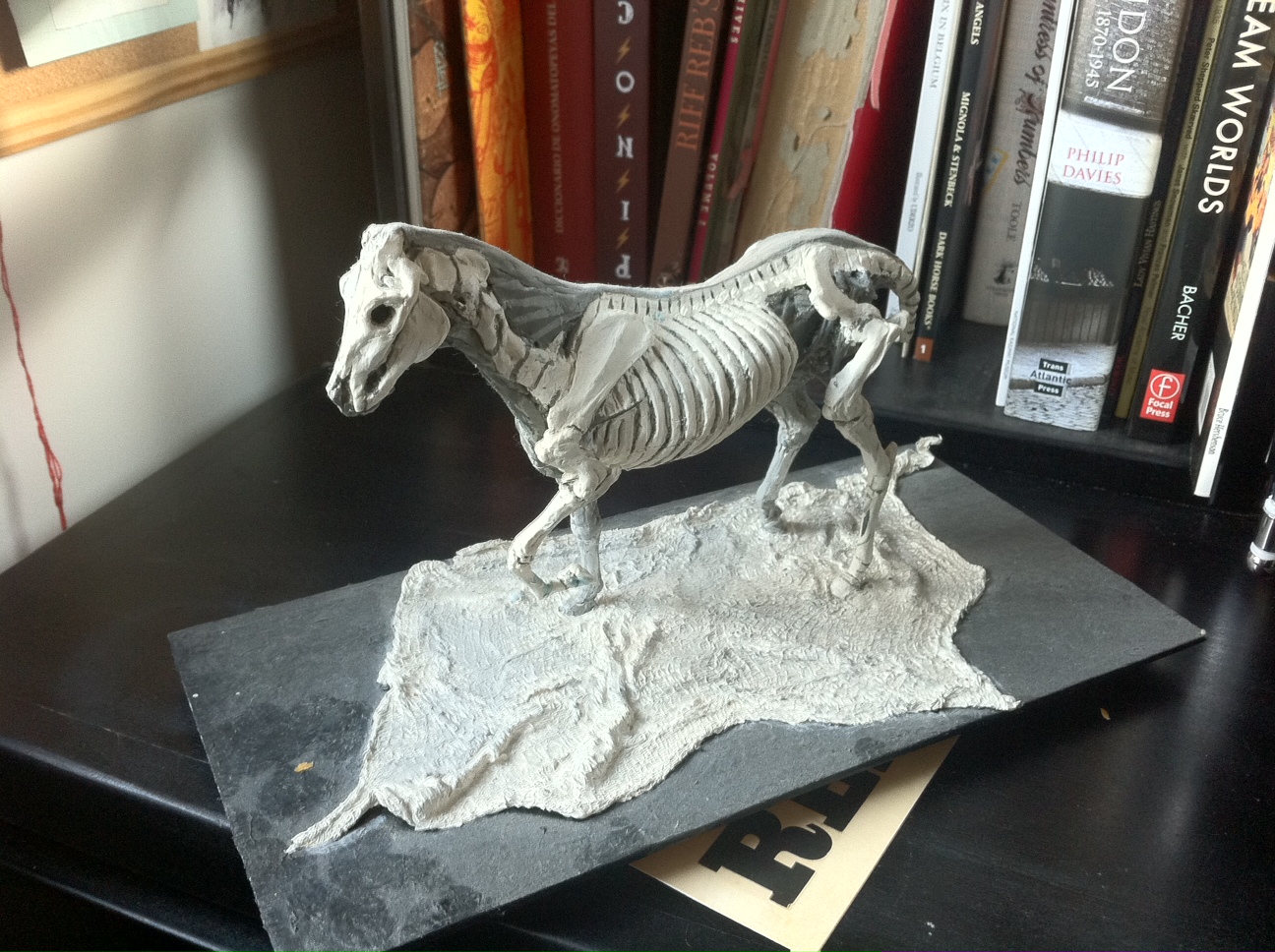 Animal Anatomy Books For Artists / Some Notes On Comparative Anatomy