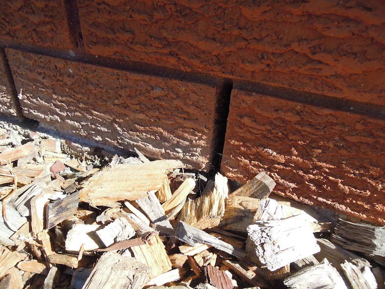New house on concrete slab at risk of termite attack in Sydney Sydney