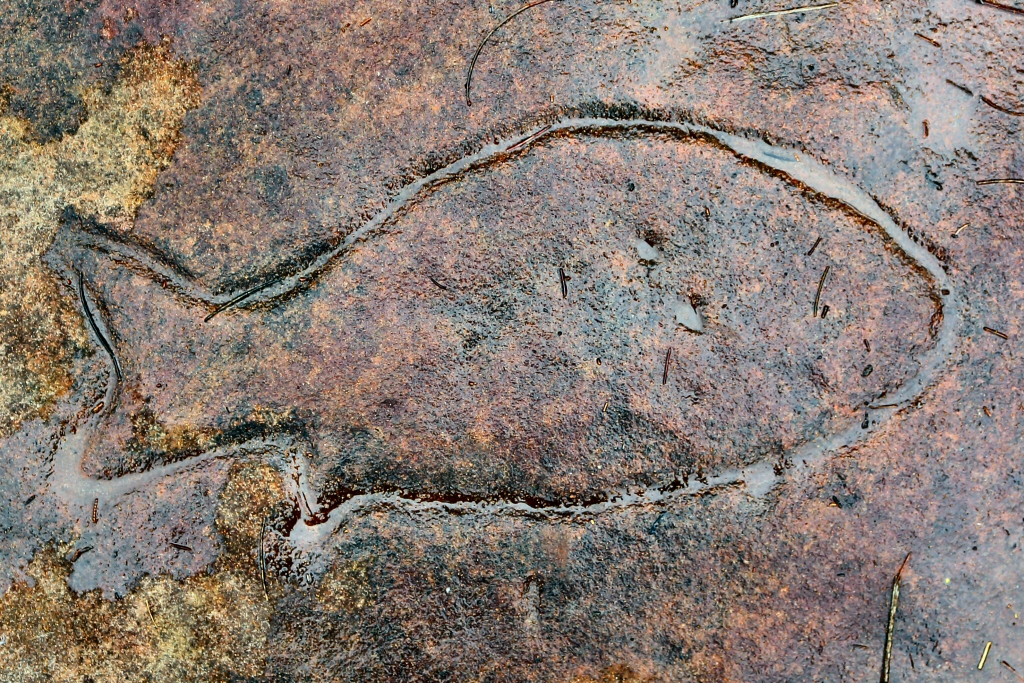 Grotto Point Sydney Rock Art
