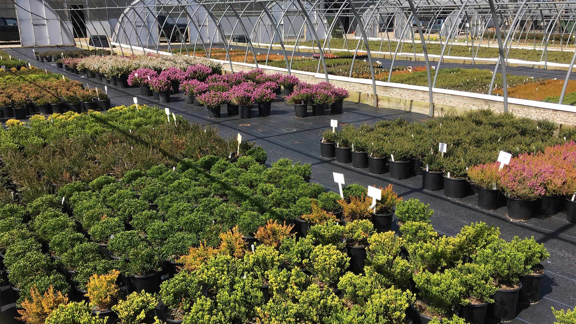 western reserve nursery and garden center inc Brigida Jarvis