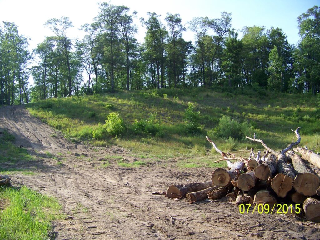 Parks Sylvan Township, MN