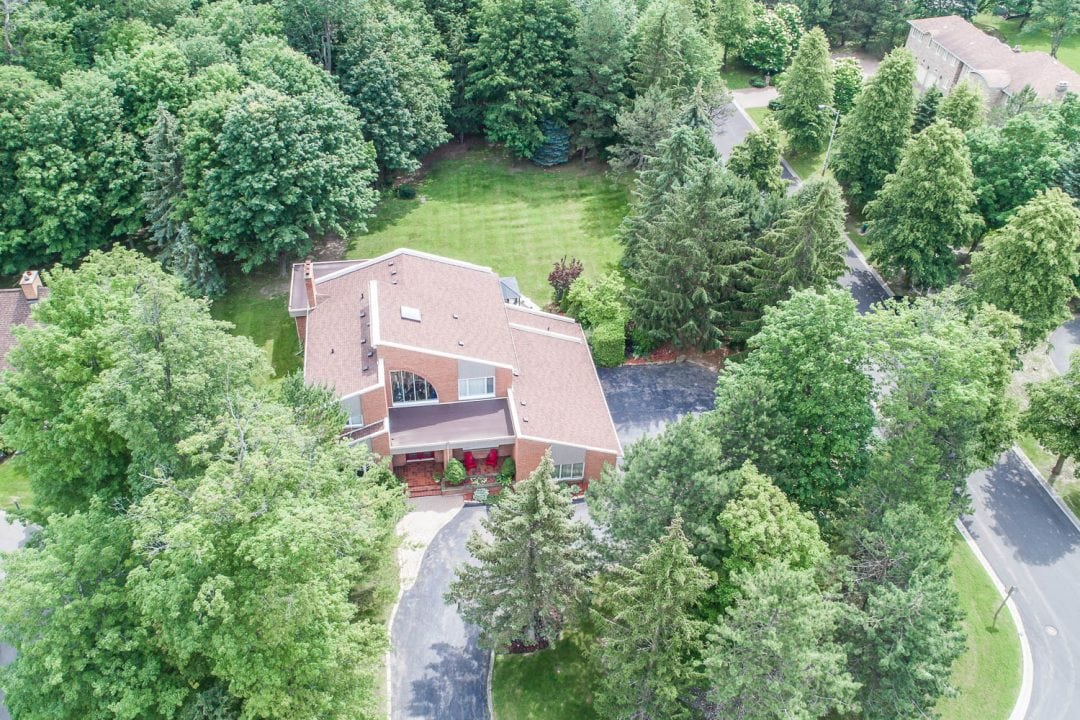 Sylvia Morris The Sylvia Morris Team