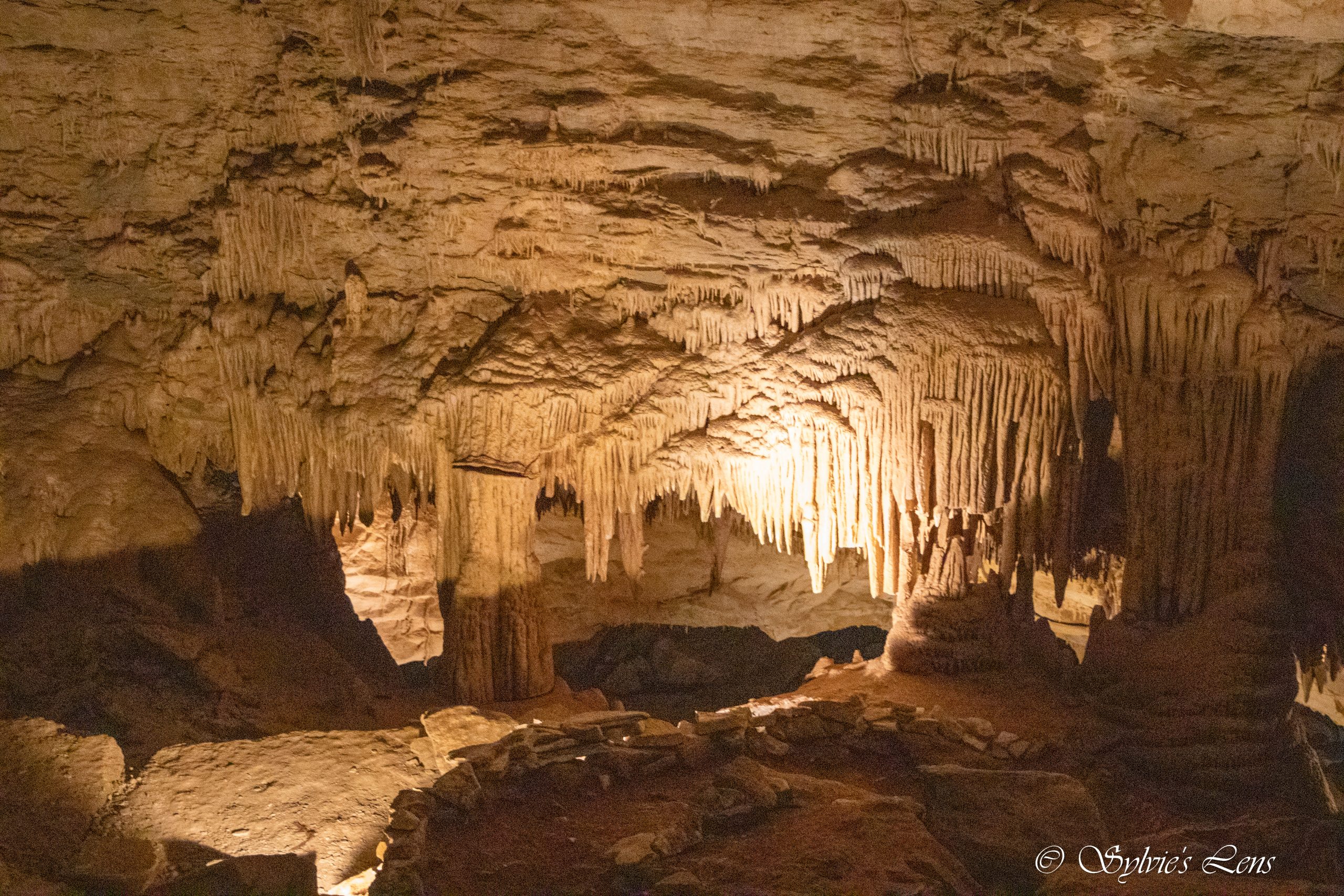 Cumberland Caverns, TN Sylvie's Adventures