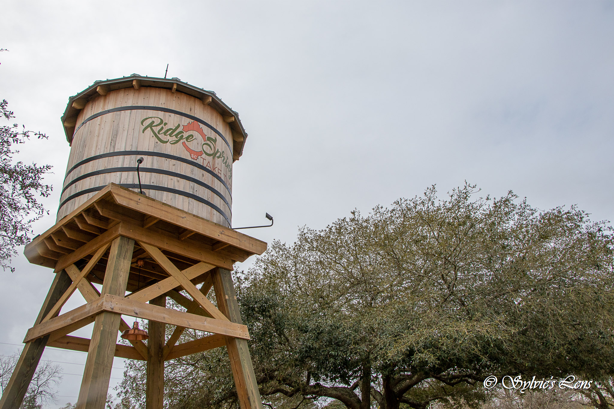 Ridge Spring Peach Blossoms, SC Sylvie's Adventures