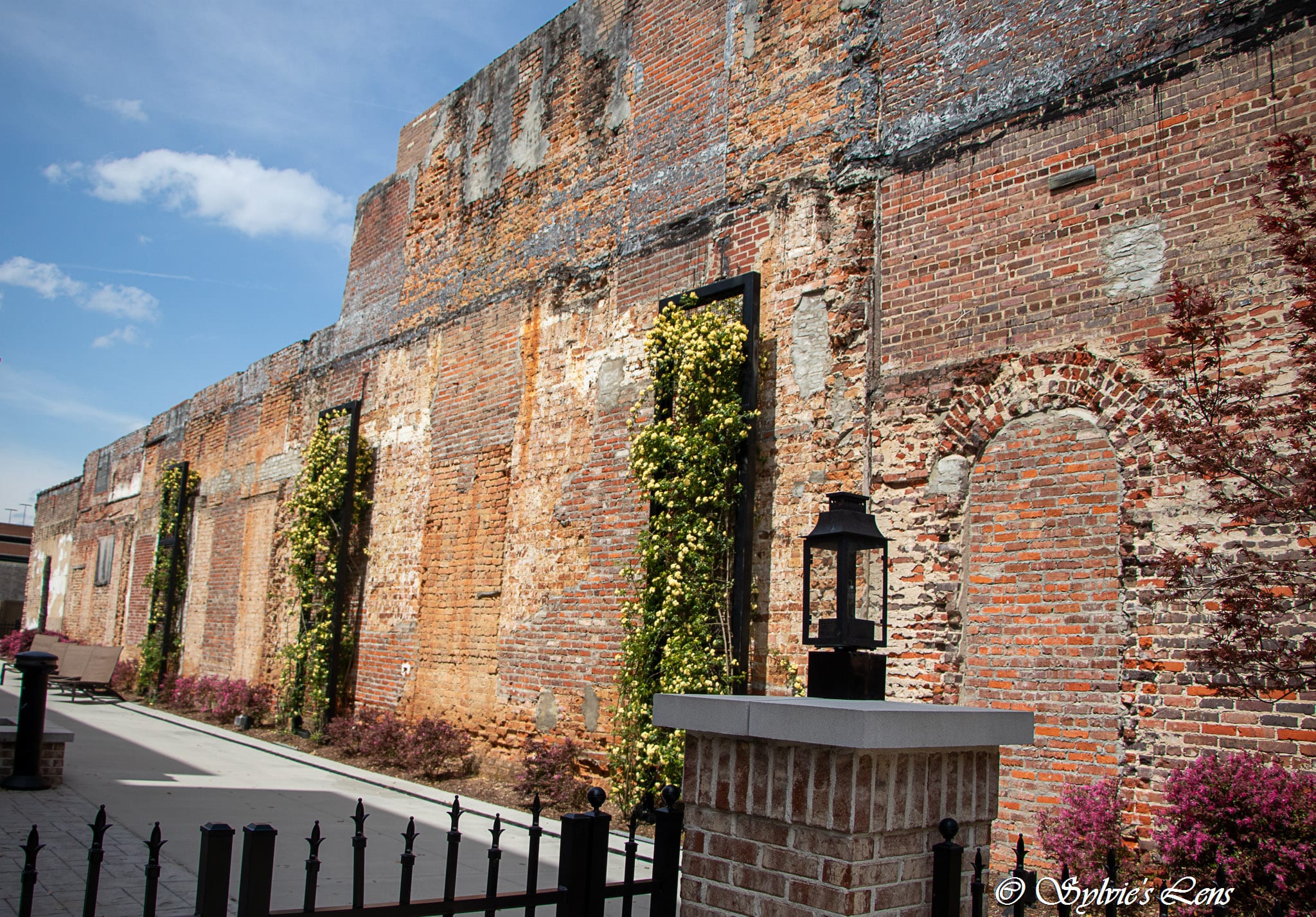 The City of Sumter, SC Sylvie's Adventures