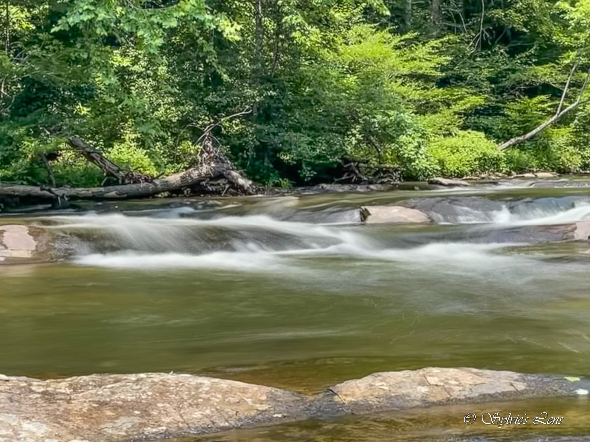 A Tour of Lake Jocassee, SC Sylvie's Adventures