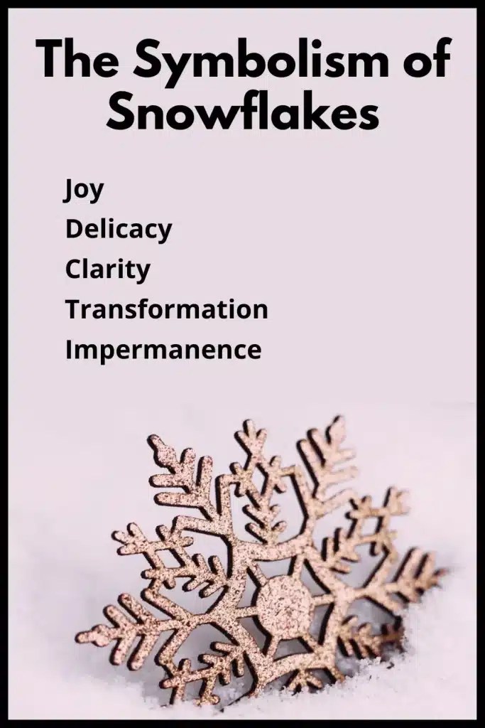 What do Snowflakes Symbolize? (Joy, Delicacy & Clarity)