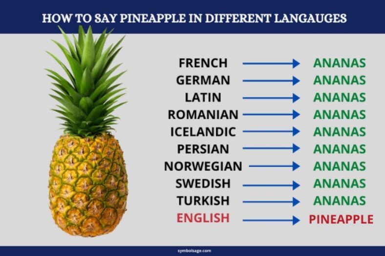 Surprising Symbolism of Pineapples Over the Years