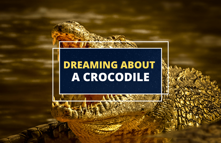 Dream of a Crocodile? Here’s What It May Mean Symbol Sage