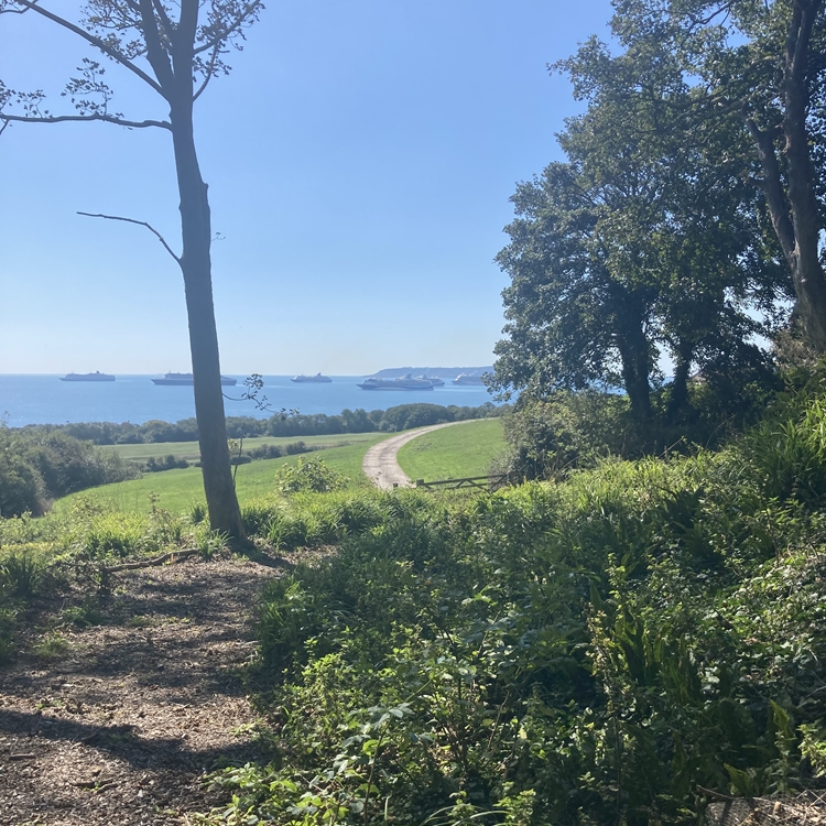 Pitt Cottage Bunker Symmetrys