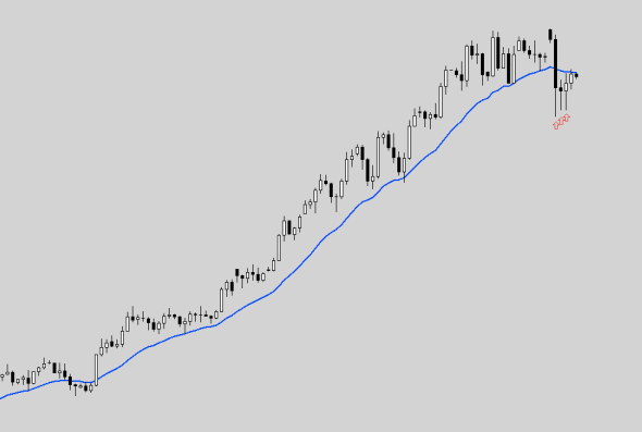 Forex trading success stories reddit Forex trading success stories reddit
