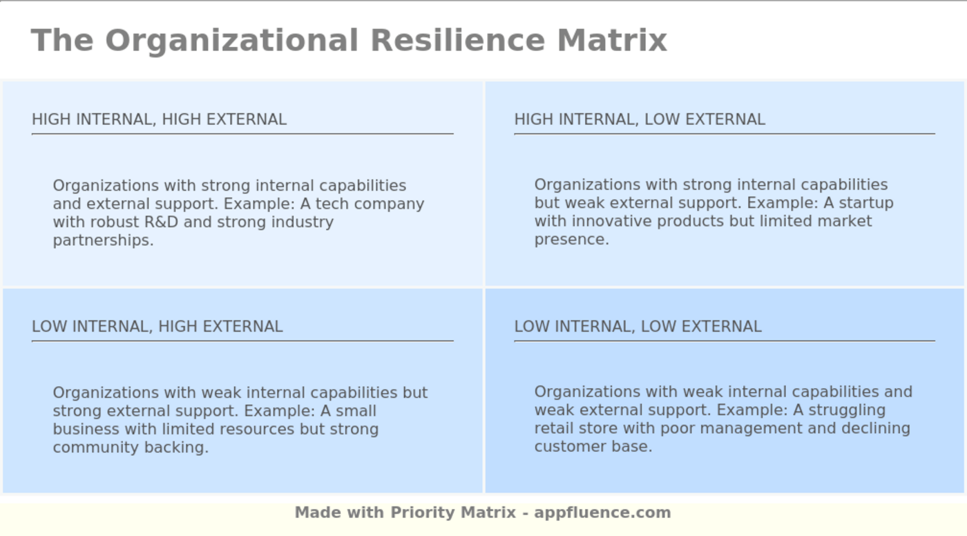 Organizational Resilience Matrix [Free download]