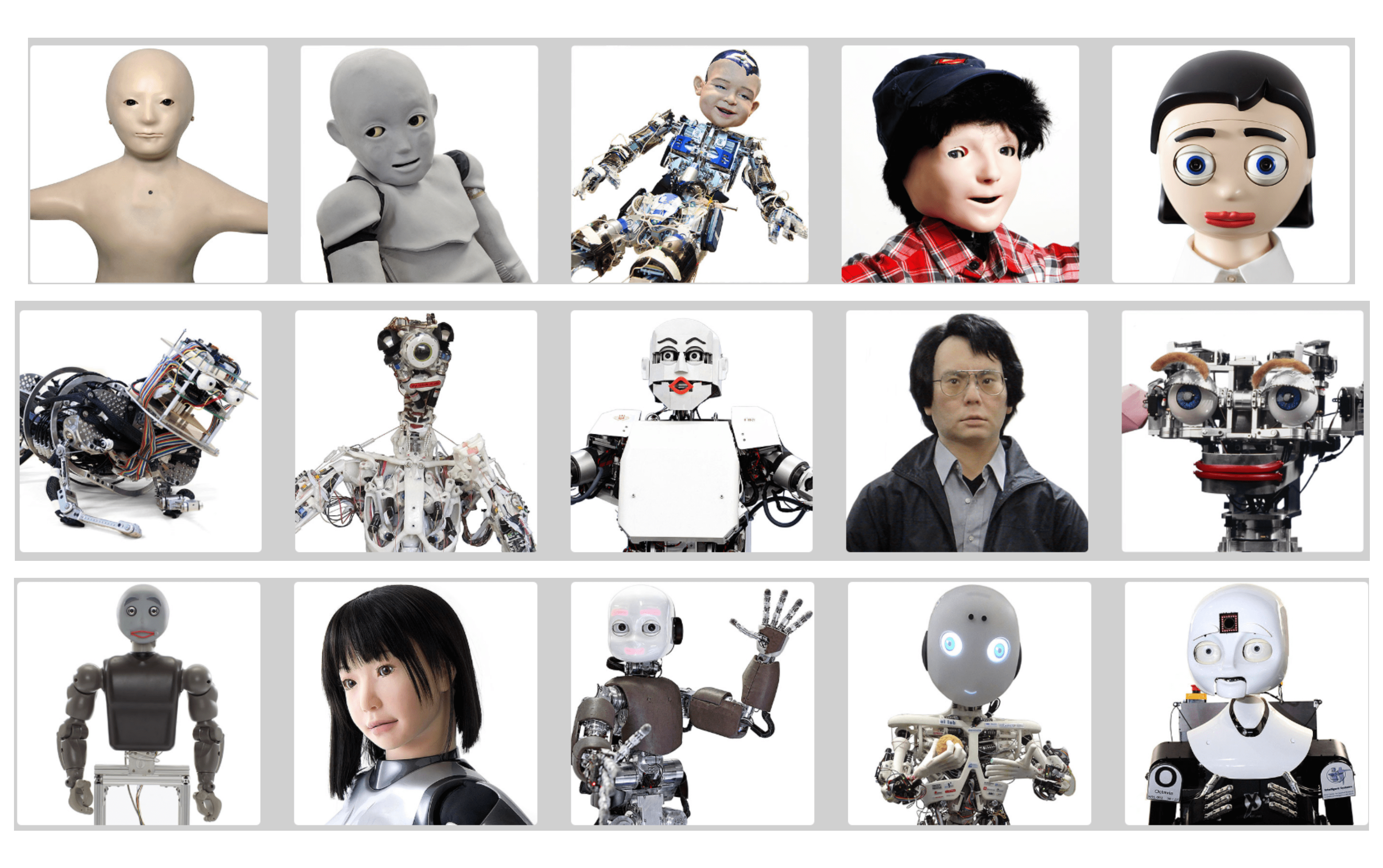 top humanoid robots