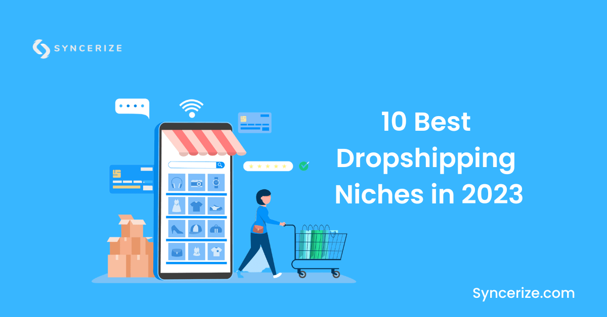 Best Dropshipping Niches in 2023 How to choose it?