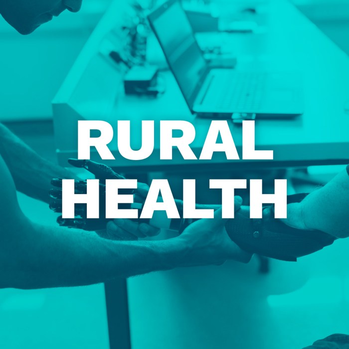 What is rural health unit