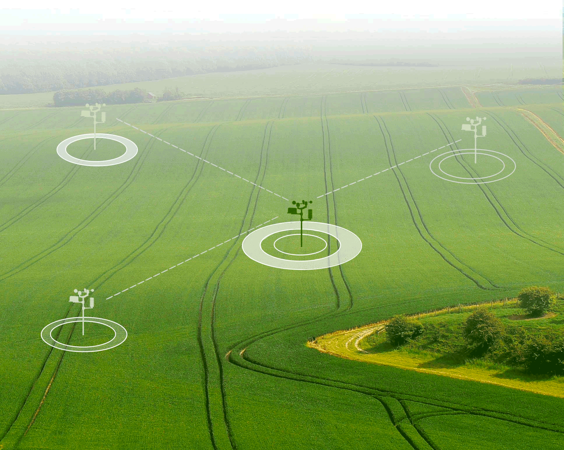 SynField Synelixis S.A.