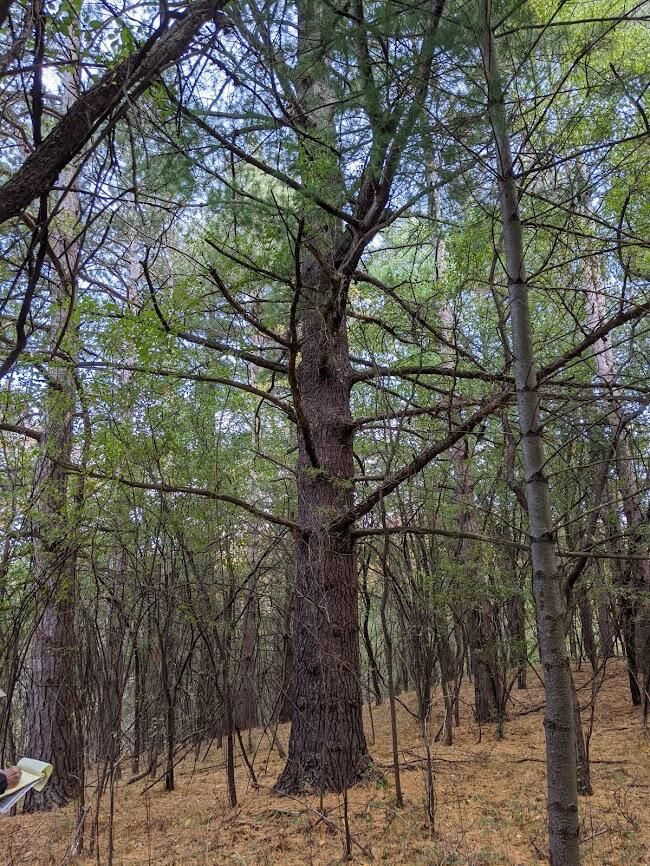 Genesee, WI Home/Lot Package Synergy Homes WI, LLC