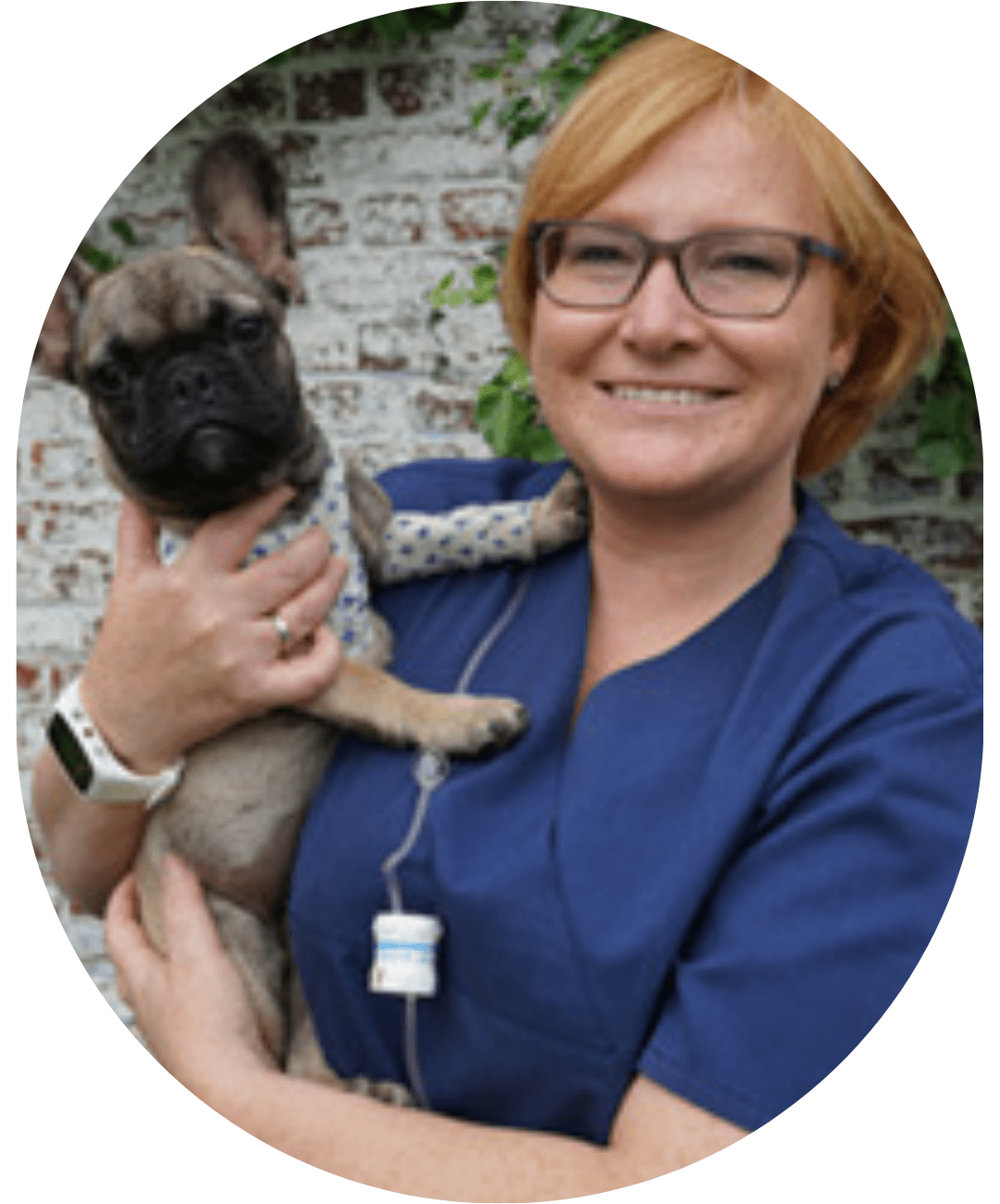 L'équipe vétérinaire à votre service Synlab Belgique