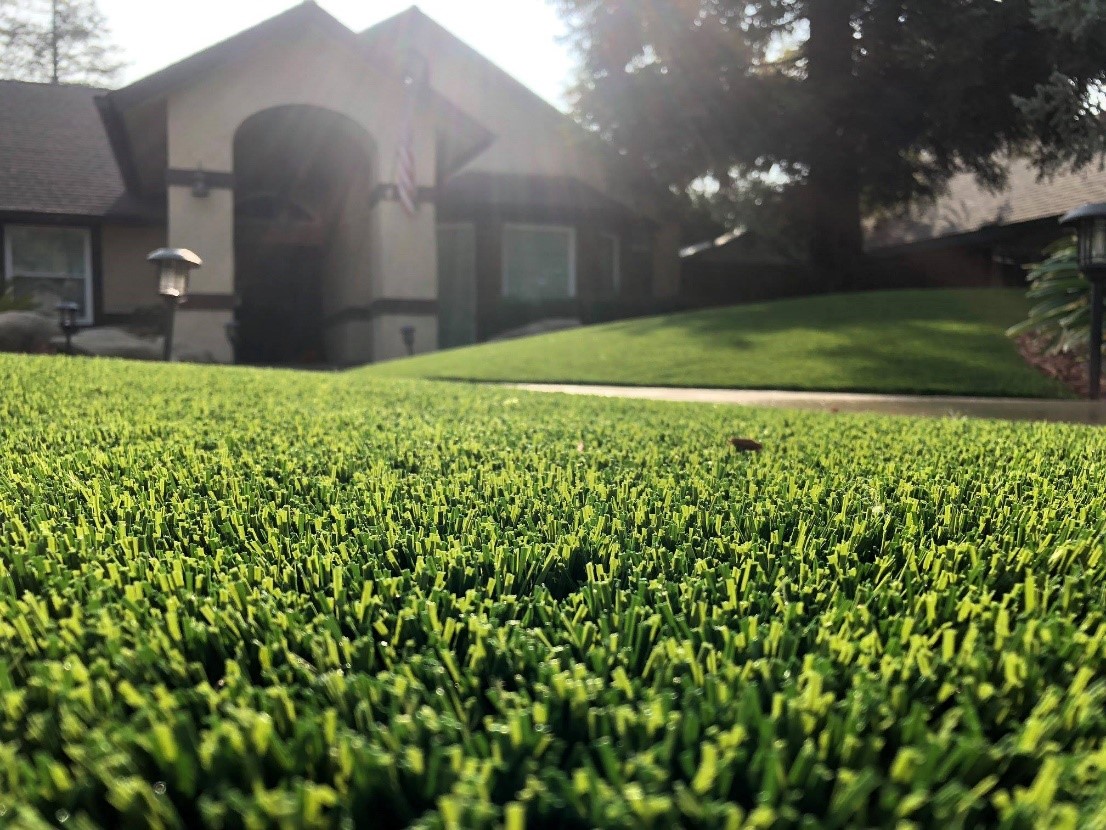 Get Rid of Pests this Summer with Artificial Grass SYNLawn Central