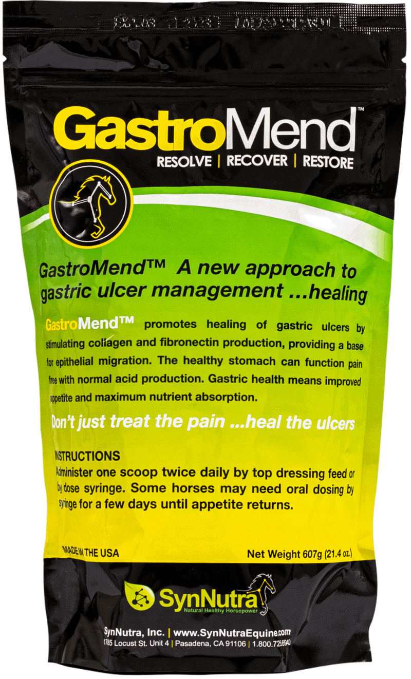 GastroMend Gastric Health Supplement for Horses SynNutra Equine