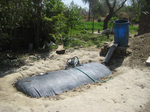 Synodbioscience Synodbioscience