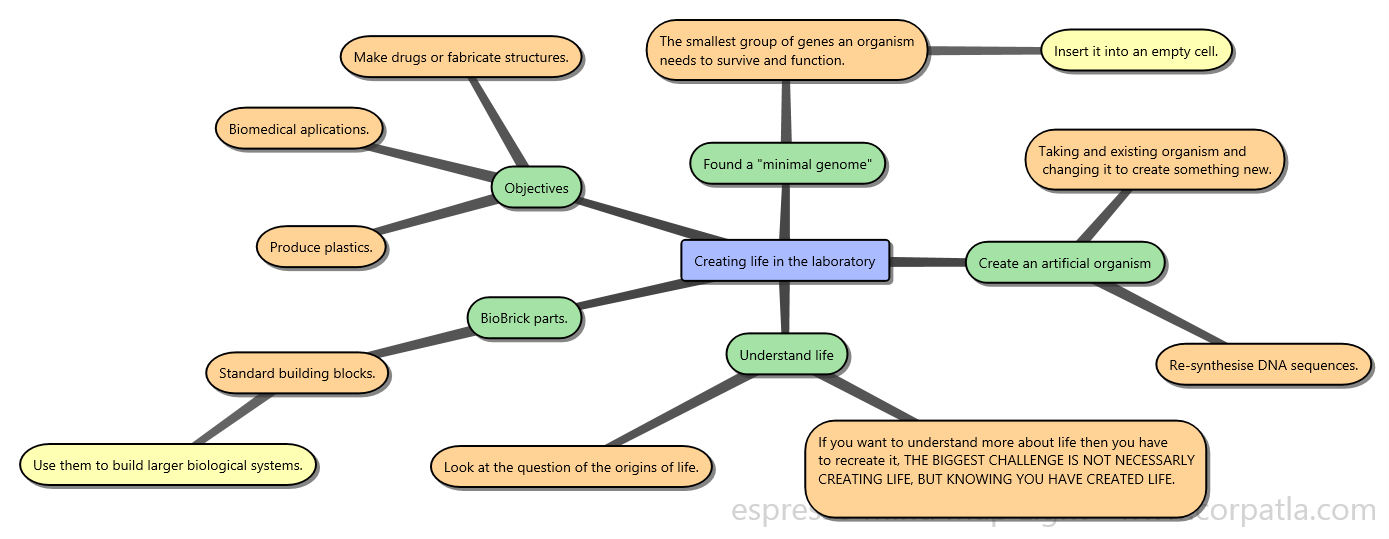 Creating life in the laboratory. The ethical problem of synthetic biology