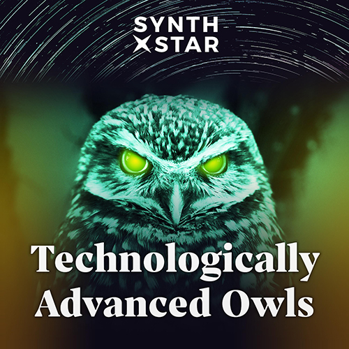 Technologically Advanced Owls (Single) Synthstar
