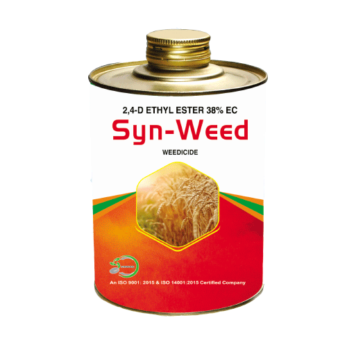 SYNWEED 24 D Amine Salt 38 EC