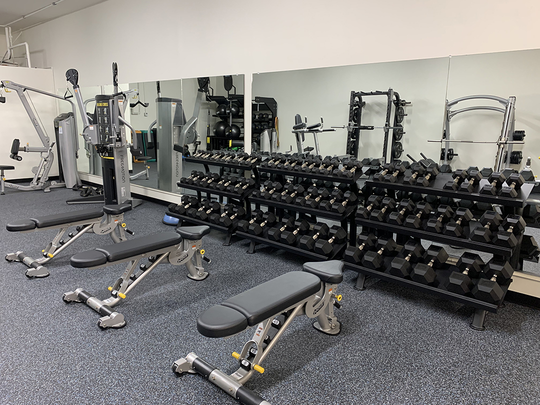 Can you transform your body in 90 days?