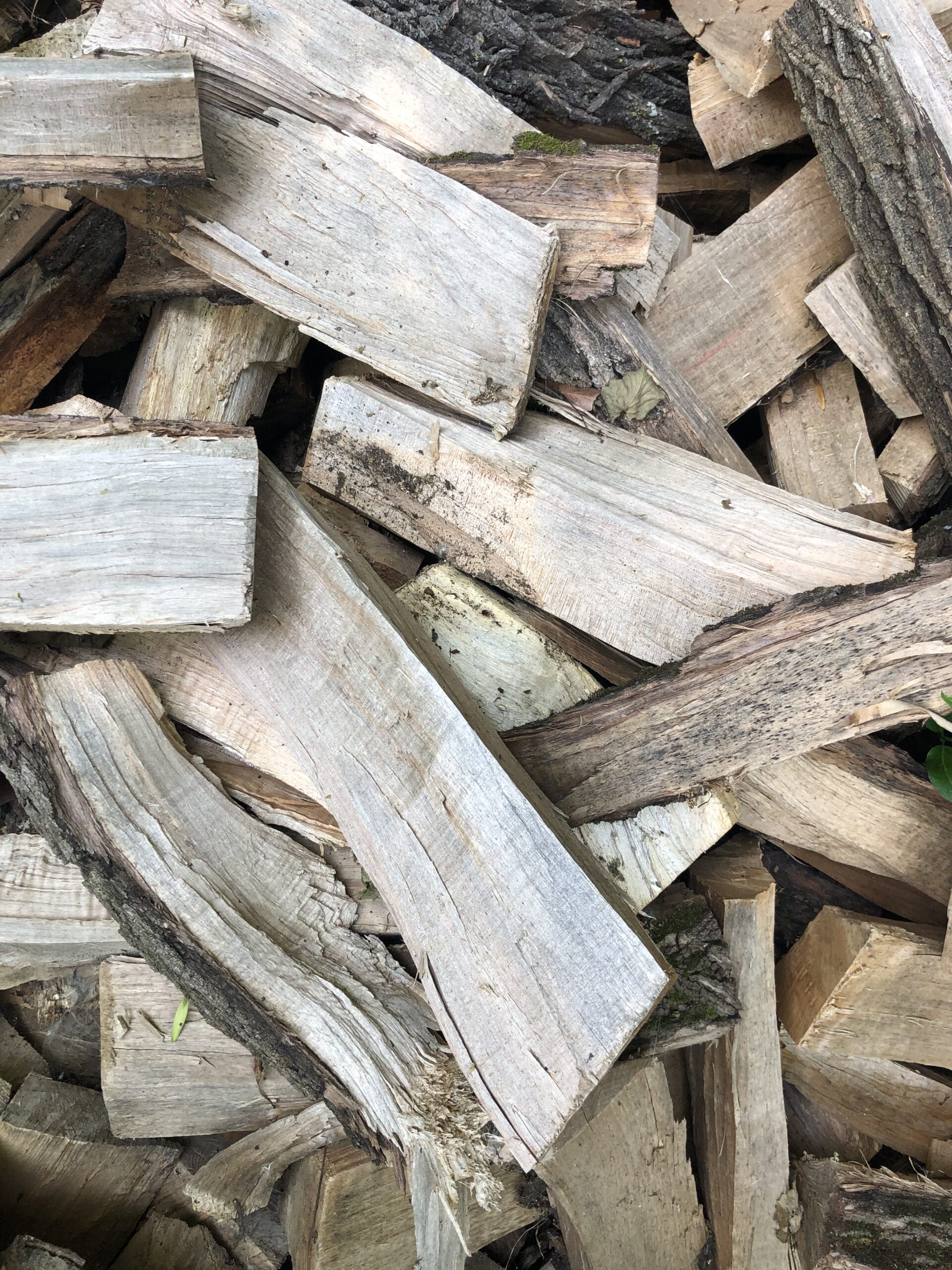 Unseasoned Hardwood campfire wood 1/3 cord delivered Syracuse Firewood