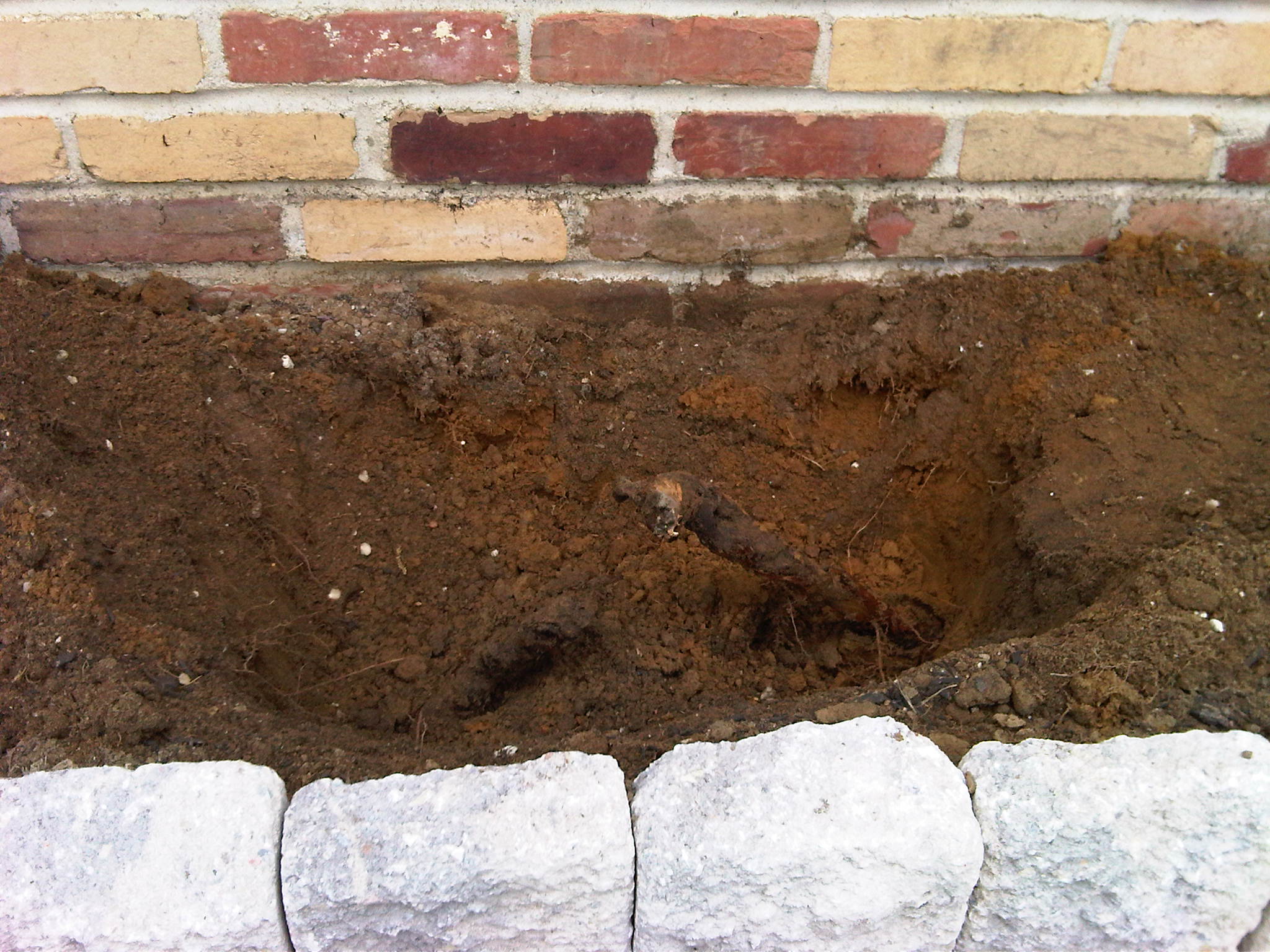  Sys Admin Extraordinaire » Blog Archive » Creating a Garden and