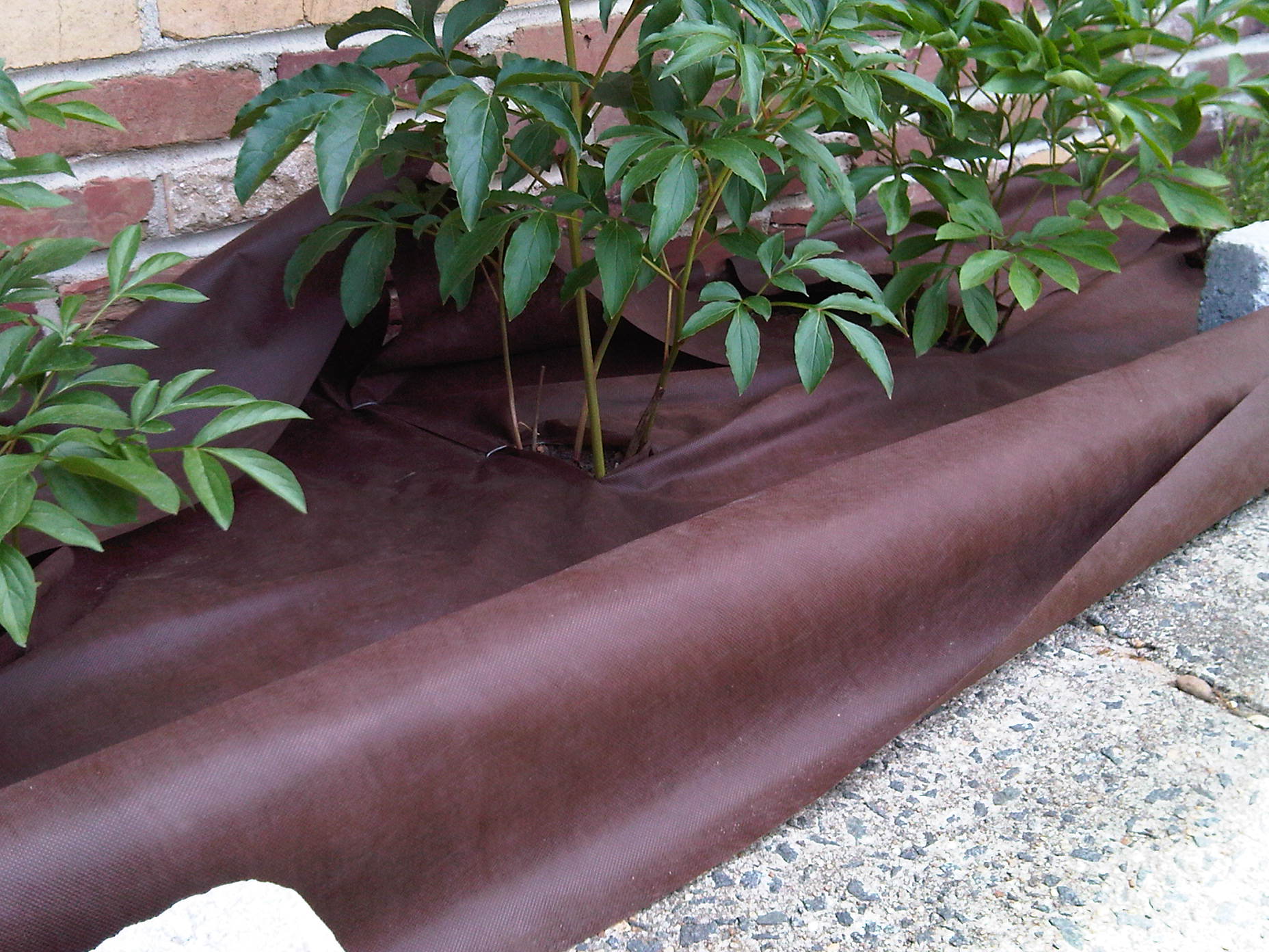  Sys Admin Extraordinaire » Blog Archive » Creating a Garden and