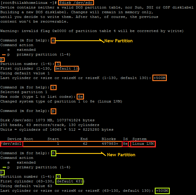 Checking The Disk Format Of A Linux System Using The Command Line