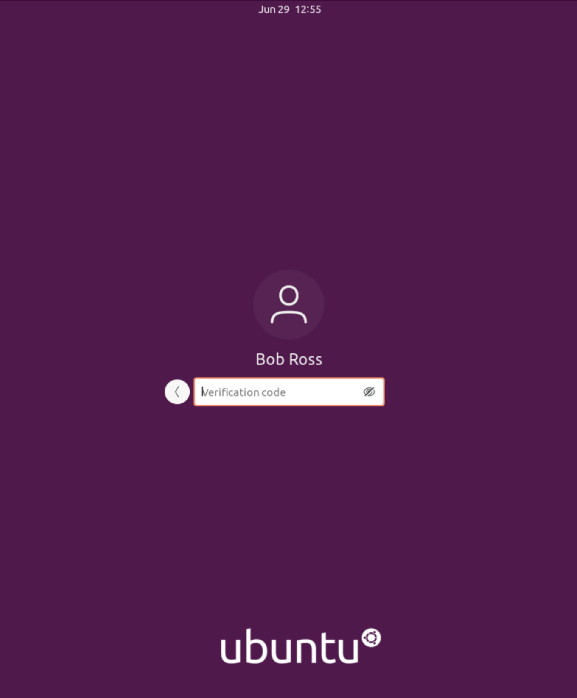 How To Log In To An Ubuntu Machine From A Linux Mint Machine Systran Box