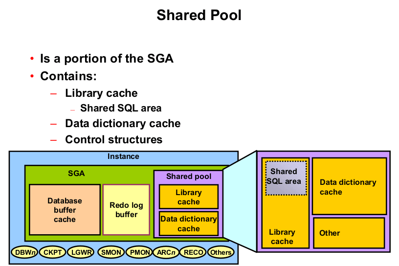 Exploring the Oracle DBMS Architecture