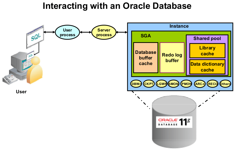 Exploring the Oracle DBMS Architecture