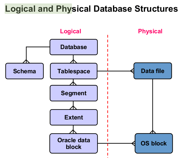 Exploring the Oracle DBMS Architecture