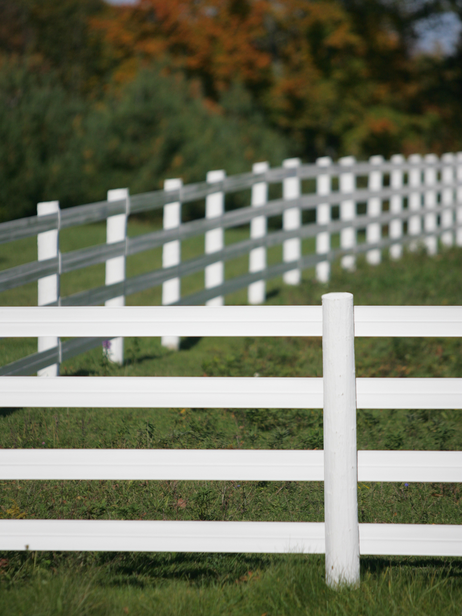 Quality Horse Fencing Shop Now For The Best Options
