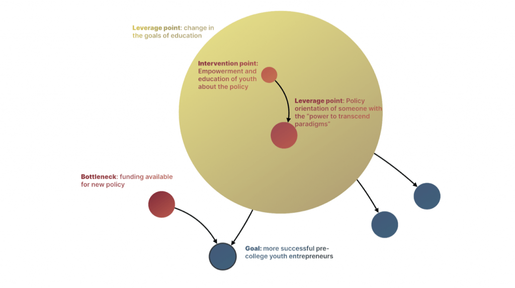 Leverage for Systemic Change