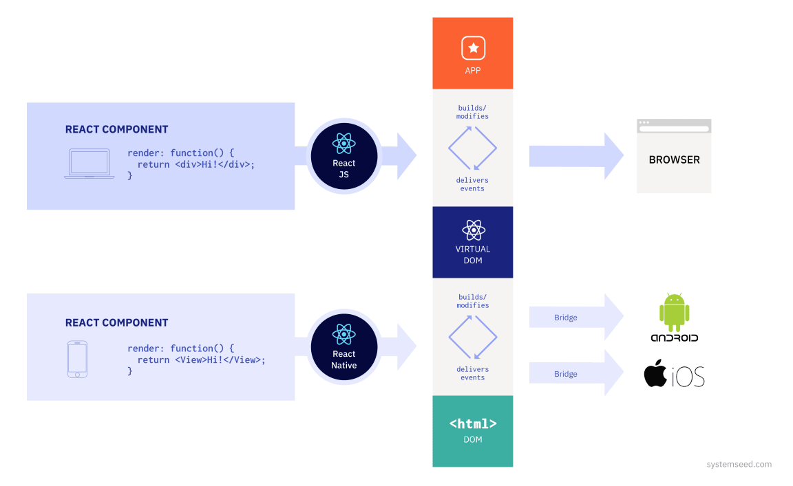 ReactJS & React Native Web Development SystemSeed