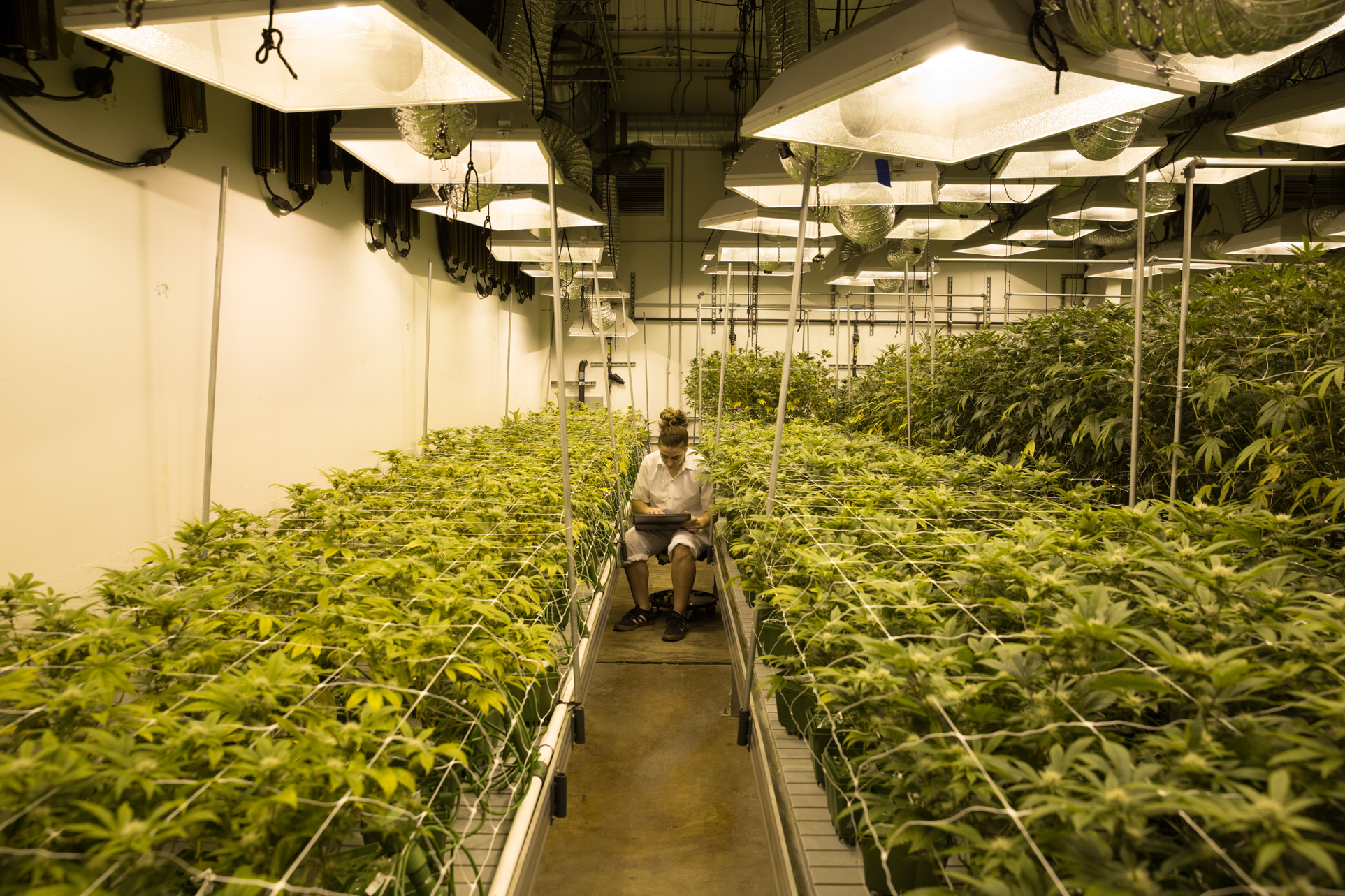 Increase cannabis production Systems & Space Systems and Space
