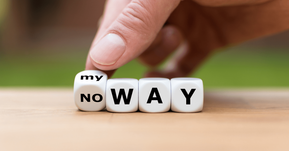 My Way No Way Systems of Change
