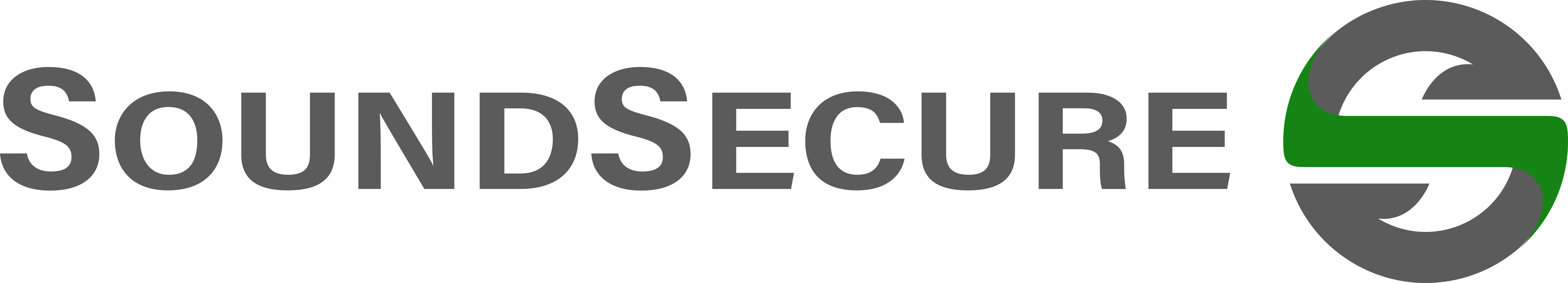 Sound Secure System Surveyor