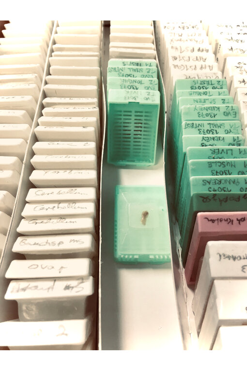 Validation of HistoSure Products