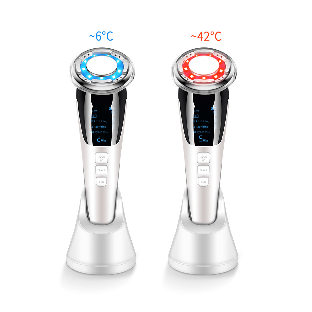Dropshipping EMS Facial Massager LED light therapy Sonic Vibration