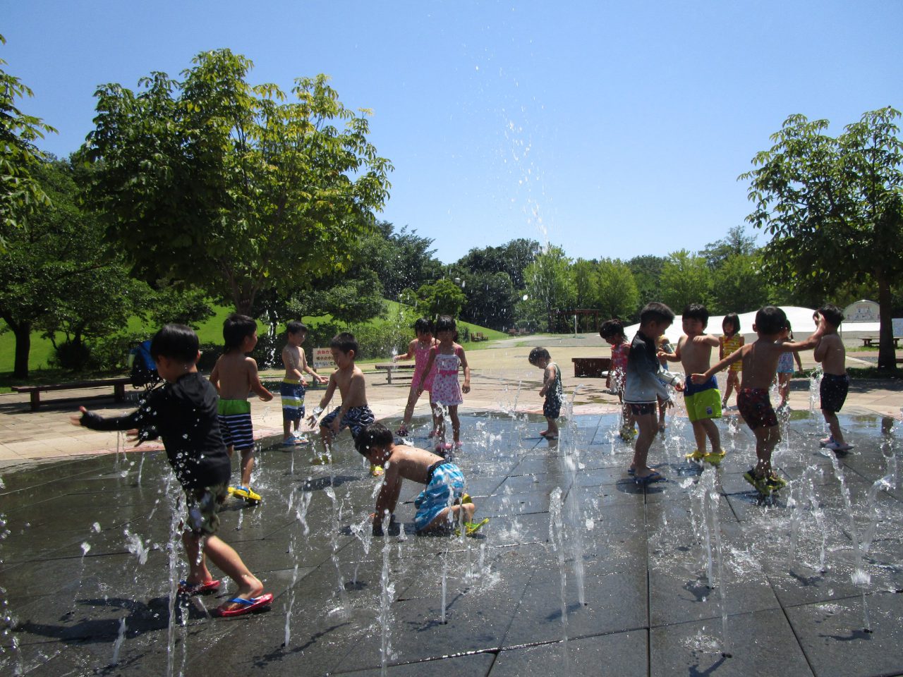 観音山ファミリーパークに行ってきました！ 富岡ひばりこども園